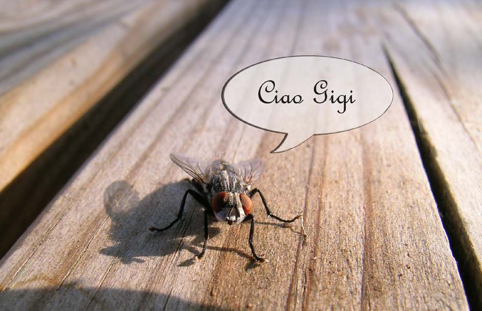 Nuovo moderatore
